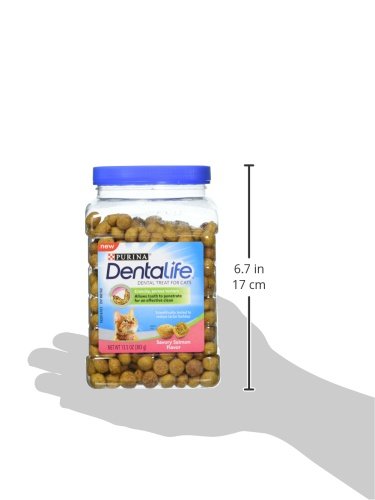 Purina Dentalife Made In Usa Facilities Cat Dental Treats Savory Salmon Flavor 13 5 Oz Canister Cats Luv Us Deals