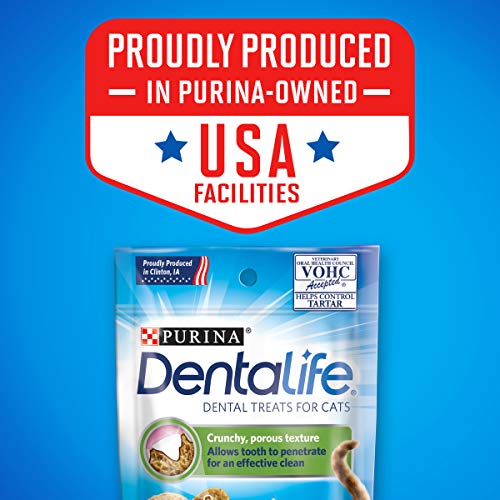 Purina Dentalife Made In Usa Facilities Cat Dental Treats Savory Salmon Flavor 13 5 Oz Canister Cats Luv Us Deals